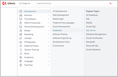 udemy categories